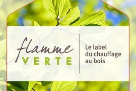 Flamme verte