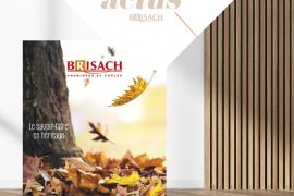 Catalogue Cheminées et Foyers 2025